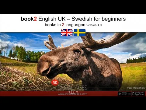 Learn Swedish: 100 Lessons for Beginners