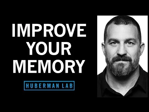Understand & Improve Memory Using Science-Based Tools Huberman Lab Podcast #72
