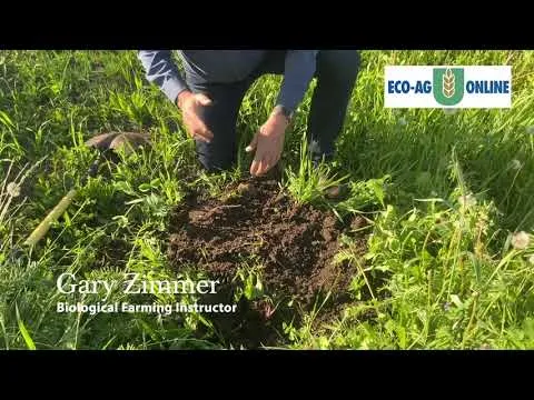 Biological Farming Online Course Lesson: What is Healthy Soil?