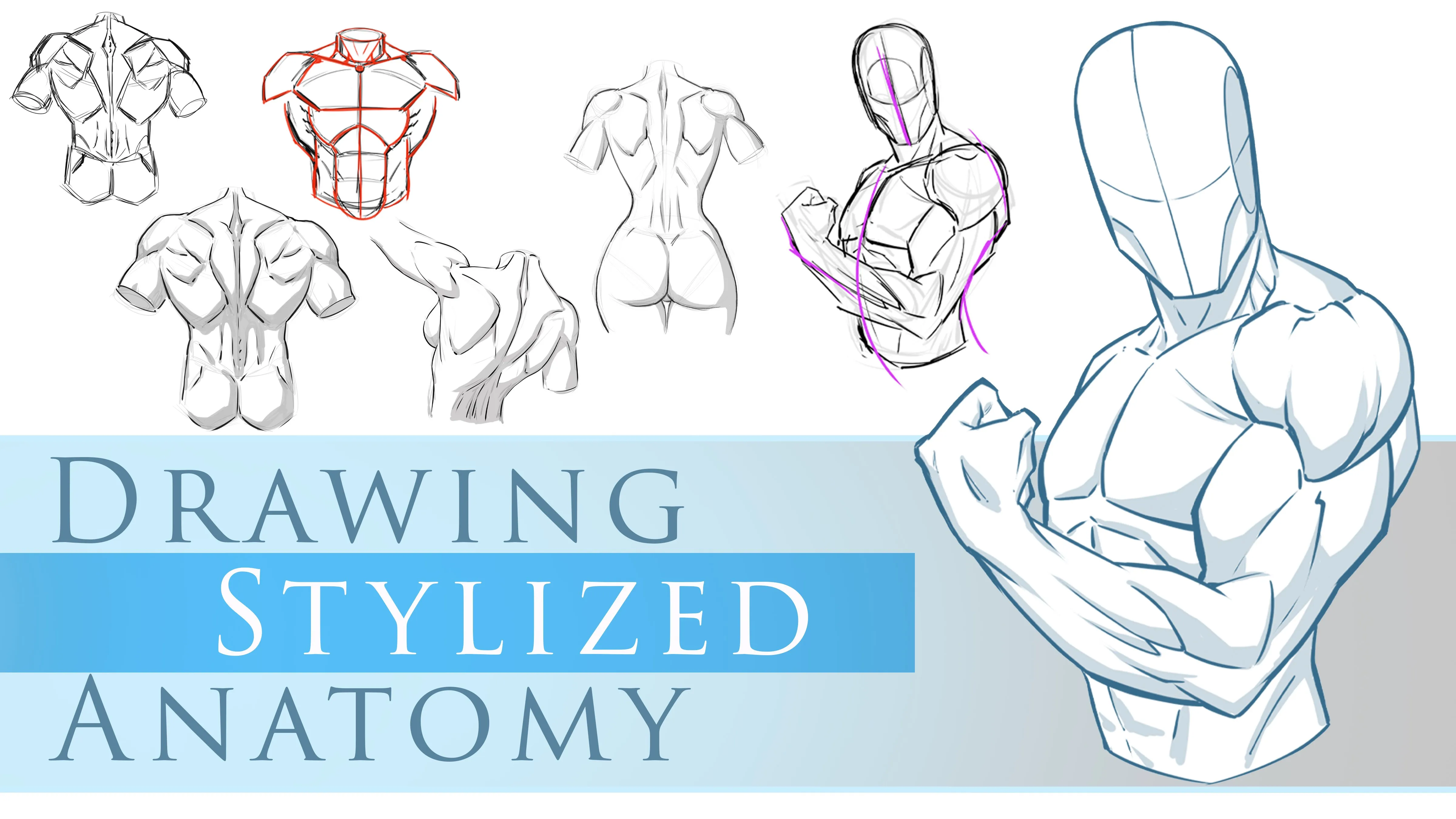 How to Draw Stylized Poses and Anatomy - Breaking Down the Basic Shapes