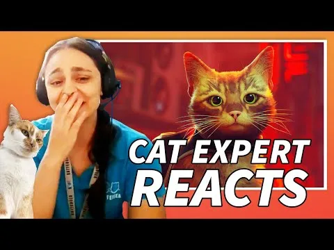 Cat Behavior Expert Reacts To Stray