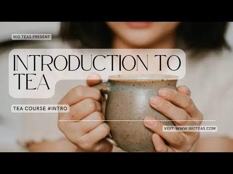 Tea Course: Introduction to Tea