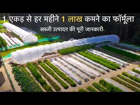 VEGETABLE FARMING HANDBOOK how to do Organic farming Vegetable Business