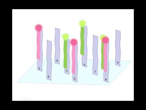 Functional Genomics Part 1