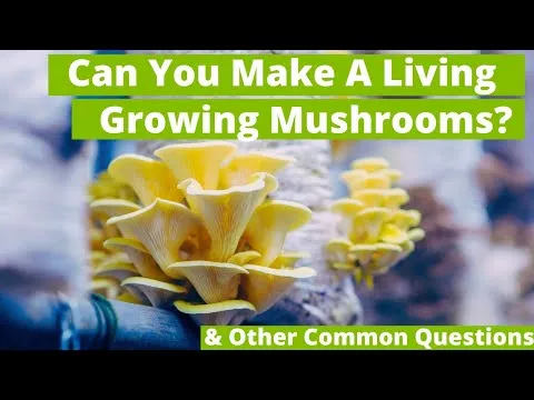 Free Workshop: Starter Guide To Mushroom Farming GroCycle