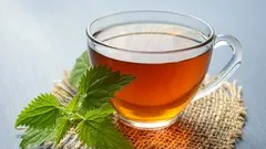 Learn How to Blend Herbal Teas & Identify 43 Common Herbs