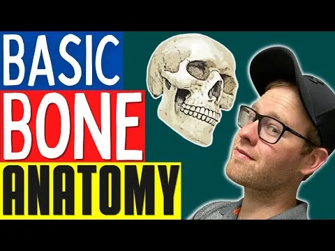 Bone Anatomy For Personal Trainers And Massage Therapists Learn Skeletal Anatomy (Basic Edition)
