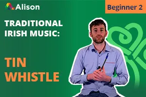 Traditional Irish Tin Whistle Beginner 2