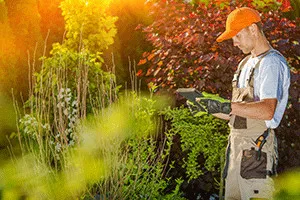 Fundamentals of Plant Science for Gardeners