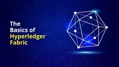 The Basics of Hyperledger Fabric