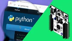 Embedded MicroPython from Ground Up™