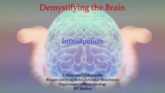 Demystifying The Brain