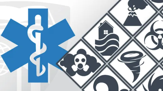 Disaster Preparedness for the Health Care Professional