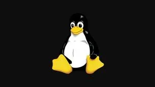 Linux command lines and administration in 2 days