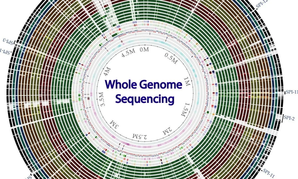 Whole genome sequencing of bacterial genomes - tools and applications