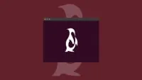 Linux Basics For Beginners