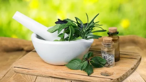 Herbalism :: Introduction & Medicine Making Course