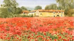 Watercolor painting with Master step-by-step: Poppy field