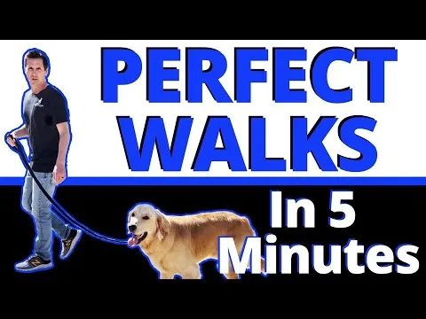 This ONE Change will Improve your Walks Guaranteed - 99% of People are getting this Wrong