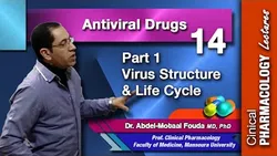 Antiviral Chemotherapy - Part 1: virus structure and life cycle