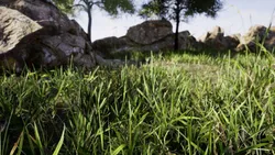 Create a Photorealistic Grassy Field in Unreal Engine!