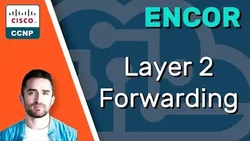 CCNP ENCOR Layer 2 Forwarding ENCOR 350-401 Complete Course