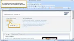 SAP Crystal Reports 2011 & 2013 Tutorials