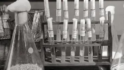 Antimicrobial Stewardship: Optimization of Antibiotic Practices