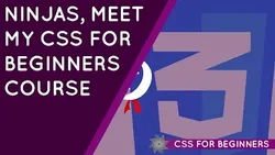 CSS Tutorials For Beginners