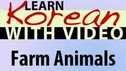 Learn Korean - Learn With Video