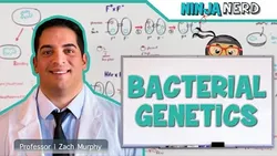 Bacterial Genetics