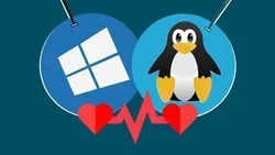 WSL 2 Docker Kali Linux and Windows Terminal - get started