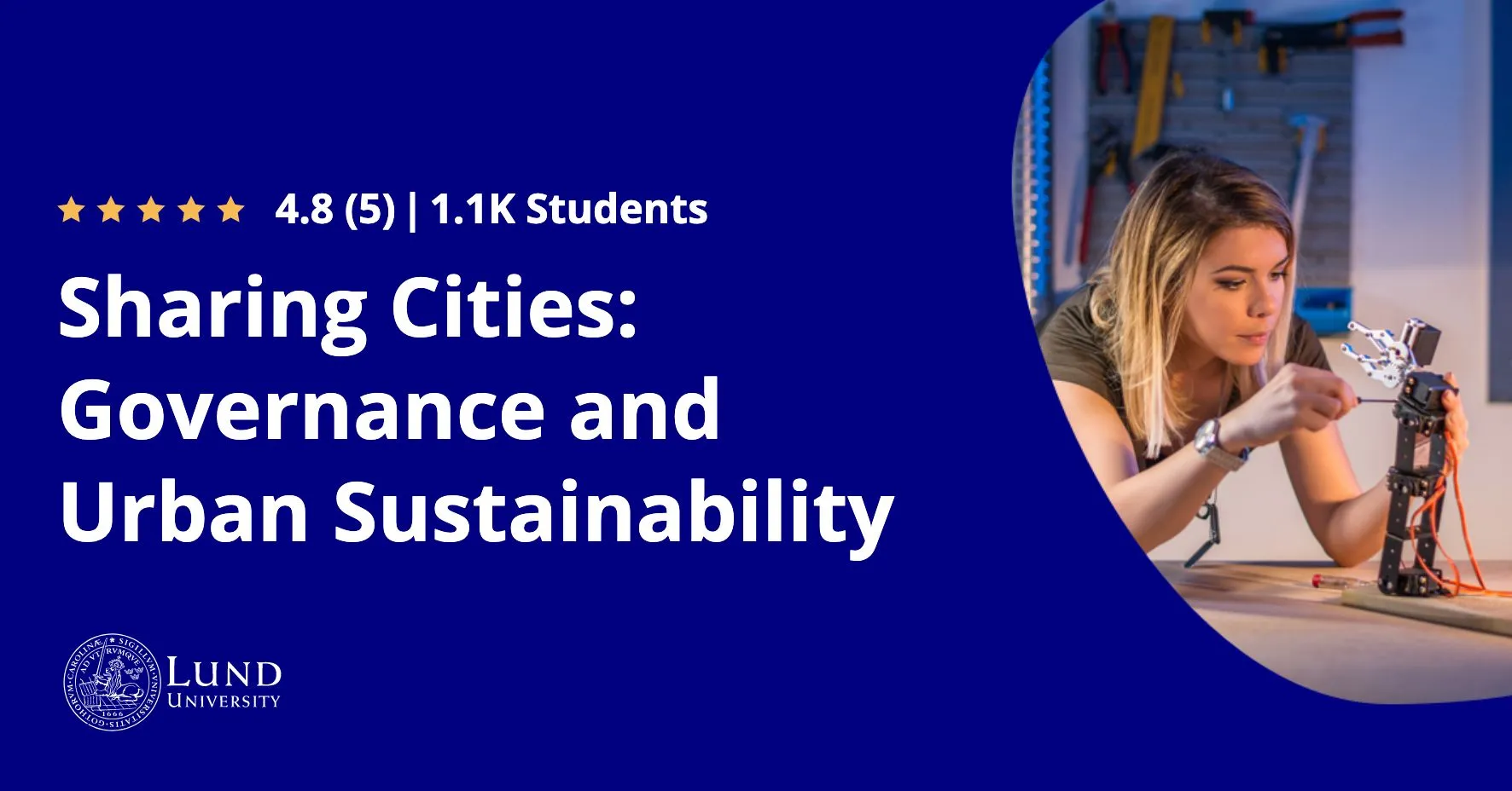 Sharing Cities: Governance and Urban Sustainability