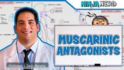 Autonomic Pharmacology Muscarinic Antagonists