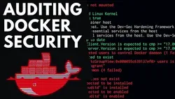 Auditing Docker Security