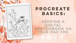 Procreate Basics: Keeping a Digital Sketchbook on Your iPad Pro