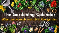 The Gardening Calendar - What to do each month in the garden