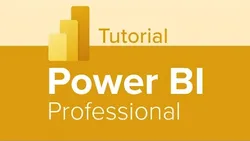 Power BI Professional Tutorial