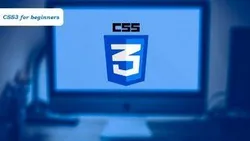 CSS3 tutorial for beginners Learn CSS3