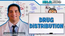 Pharmacokinetics Drug Distribution